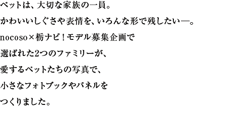 ペットは、大切な家族の一員。かわいいしぐさや表情を、いろんな形で残したい─nocoso×栃ナビ！モデル募集企画で選ばれた2つのファミリーが、愛するペットたちの写真で、小さなフォトブックやパネルをつくりました。