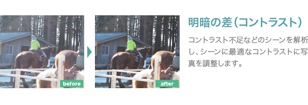 「おまかせ補正」をオーダーすると印刷時に全ての写真に自動的に明るさなどの調整がかかります。プレビュー画面では、調整前の写真を表示しますので、仕上がった商品の写真と色味が異なる場合があります。特に、イラスト画像や写真スタジオでの意図的な撮影（ハイライト撮影など）写真はおまかせ補正によって色味が変わってしまう恐れがありますのでご了承ください。