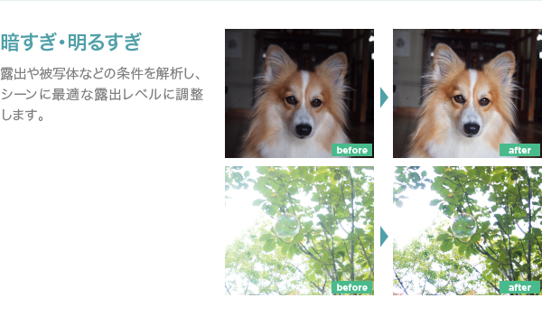 コントラスト不足などのシーンを解析し、シーンに最適なコントラストに写真を調整します。