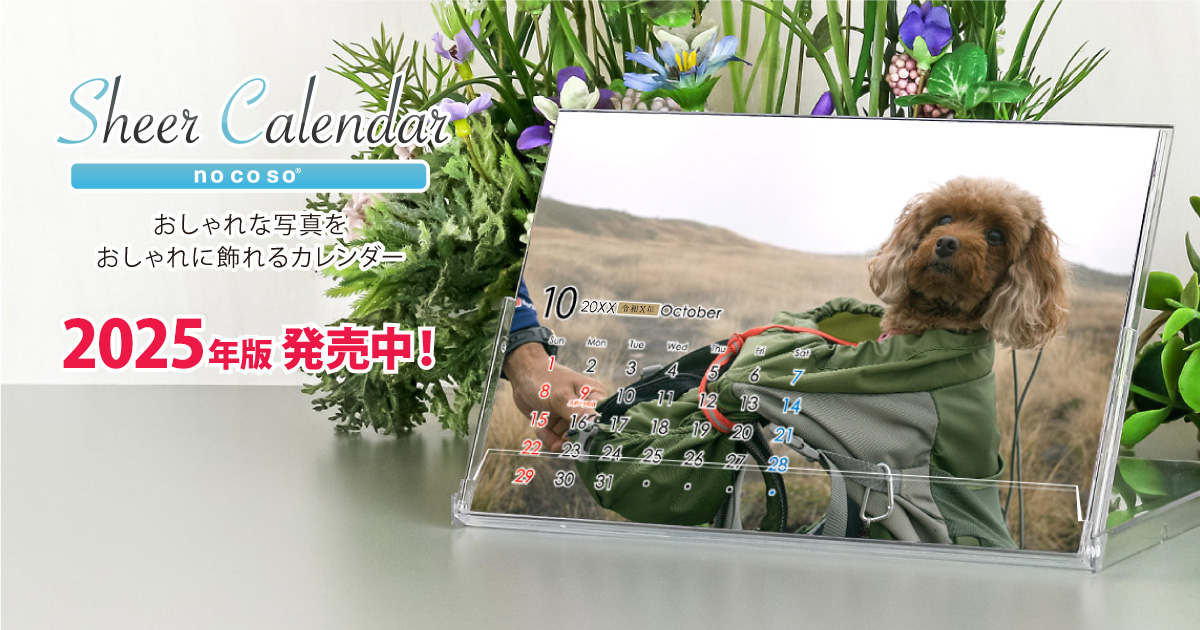 Sheer Calendar シアーカレンダー Nocoso