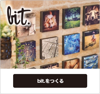 bit.をつくる